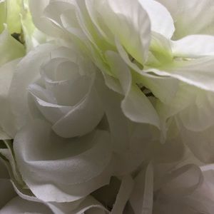 Meet your Posher, Rnasary26